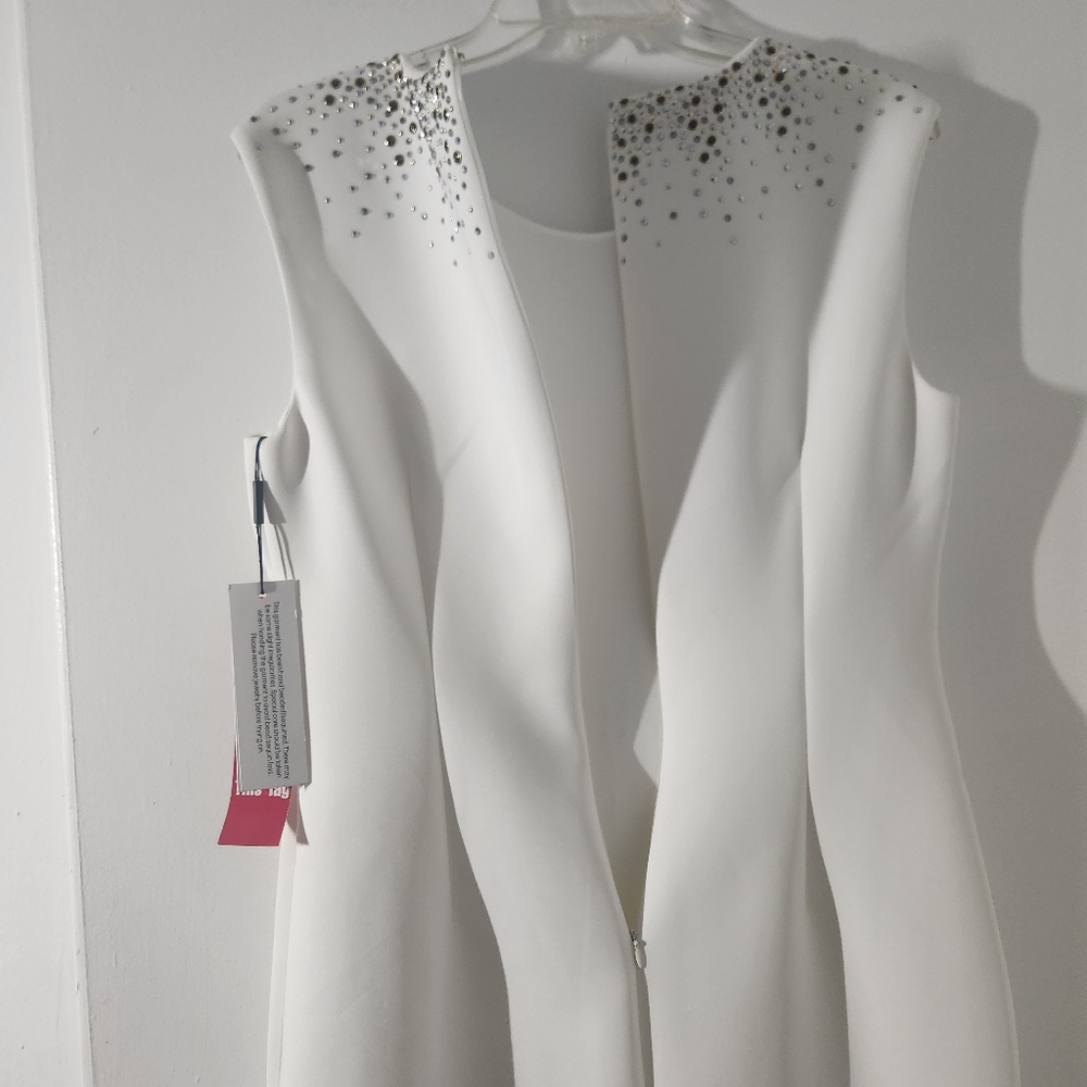 Calvin Klein Embellished Neckline Gold Silver White Sleeveless Dress NEW - Picture 9 of 13